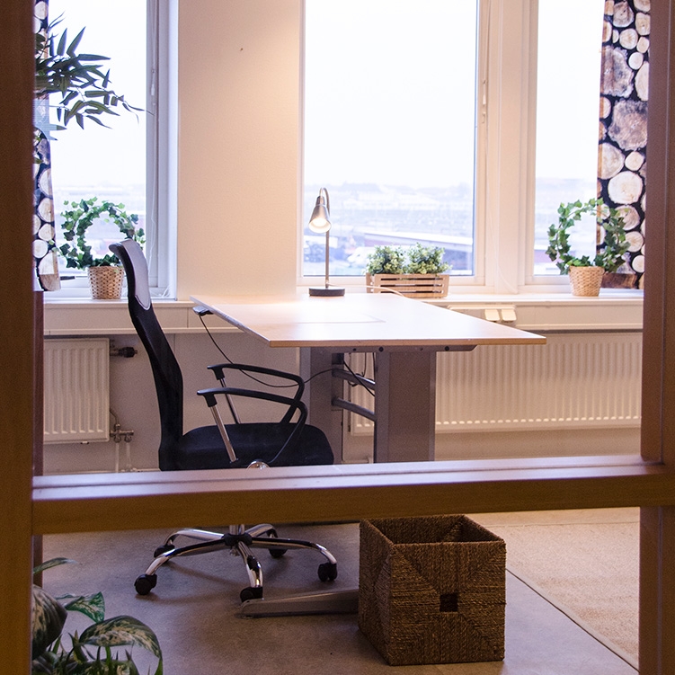 Kontors lokal i Malmö på Jörgen Kocksgatan med skrivbord och utsikt